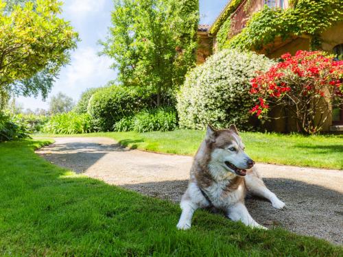 Vinarosa Resort & Spa