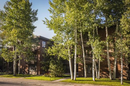 Cottonwoods Unit 1F - image 11