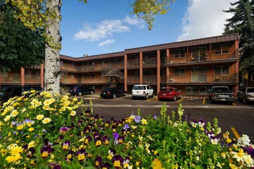 Silverglo Condominiums Unit 209 - image 3