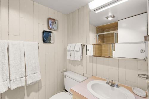 Chateau Roaring Fork Unit 29 - image 8