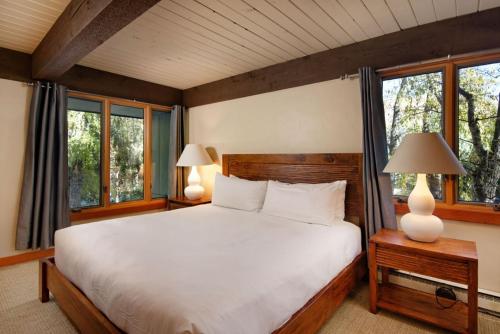 Chateau Roaring Fork Unit 3 - image 6