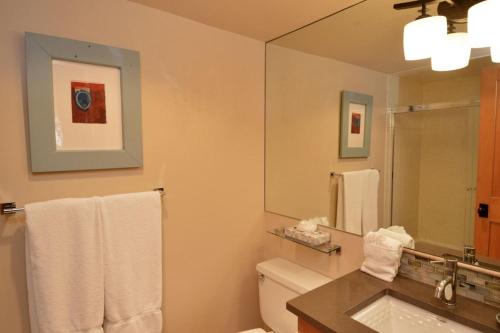 Chateau Roaring Fork Unit 3 - image 9
