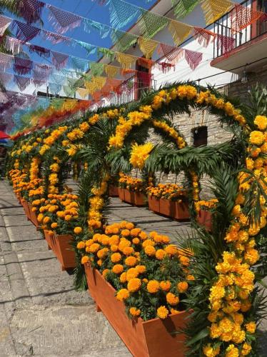 Grann Posada Xilitla