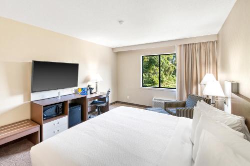 1 king bed