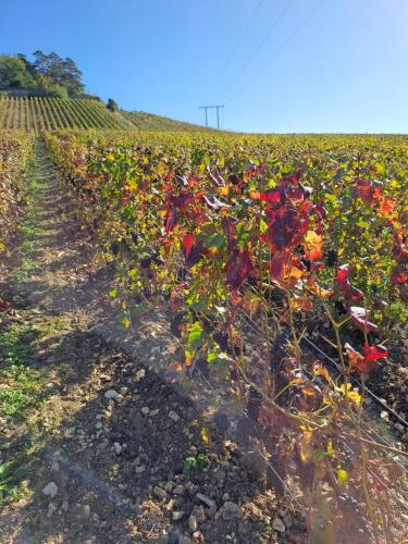 Le val d Arlette in 阿松瓦爾