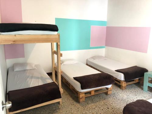 Hostal Paz y Vida, Medellín (foto 10)