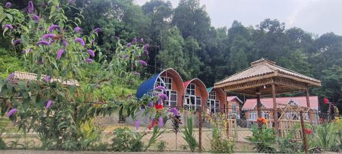 New bloom homestay