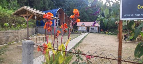 New bloom homestay