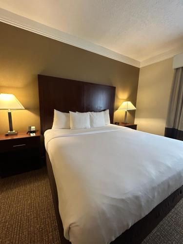 Comfort Suites Linn County Fairground And Expo