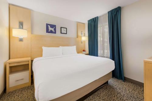 Sonesta ES Suites Charlotte Arrowood - image 14