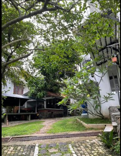 Casa bonito