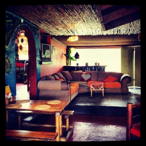 Bar/lounge, Jungle Monkey Backpackers in Port St Johns