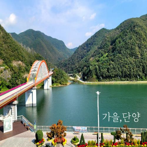 단양 스테이 230 (Stay 230) 호텔 수영장