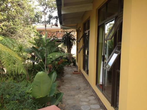Entrance, Jungle Monkey Backpackers in Port St Johns