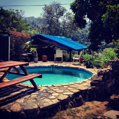 Swimming pool, Jungle Monkey Backpackers in Port St Johns