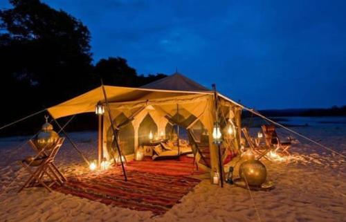 Golden Rose heritage desert safari camp Over view