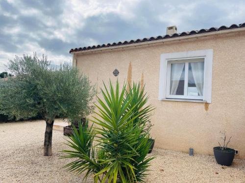 Villa au cœur du Minervois