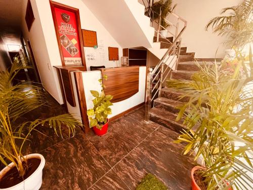 Elena Triple Lodge, Zirakpur - Hotel of the Year