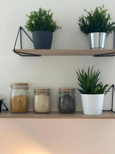 Charmant appartement quartier ecole d’agronomie in Les Cevennes