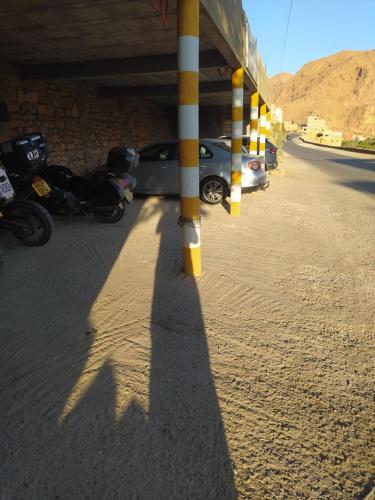 棕榈树宾馆 棕榈树宾馆