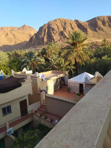 棕榈树宾馆 棕榈树宾馆