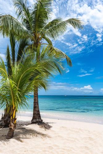 "Beach Happy" Schooner Bay - Beachfront Apartment