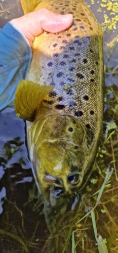 Casa rural Can Jepet Casa rural Can Jepet