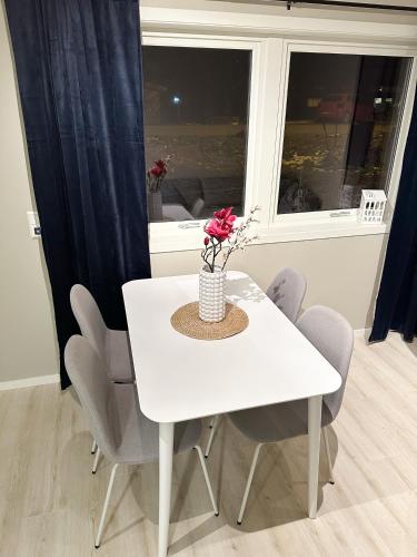 Tromsdalen Aurora Apartments 3