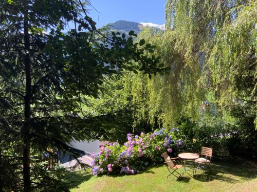 *Panorama Chalet Sonnberg* Gartensauna Balkon Dachterrasse