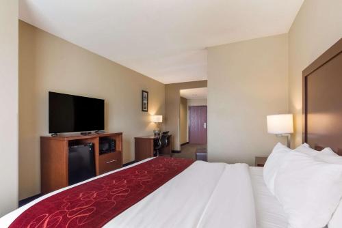 Comfort Suites North Mobile - image 11