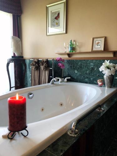 卡普陶普住宿加早餐旅館 (Coppertoppe Inn & Retreat Center) in 喜邦 (NH)