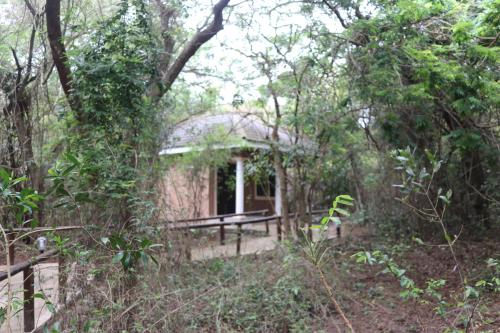 THE GALAXY FOREST LODGE