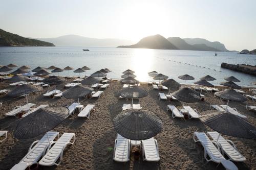 49863695 Hotel Aqua
