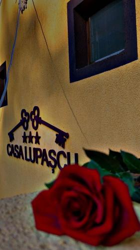 Casa Lupascu