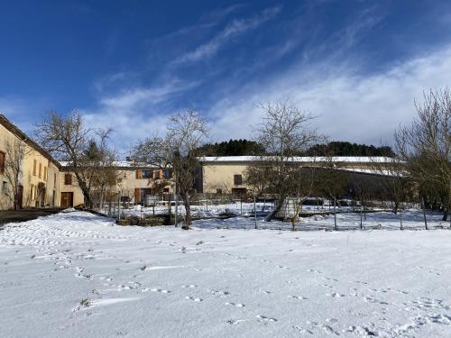 Maison - Chez Léontine (Maison - Chez Leontine) in Roquefeuil