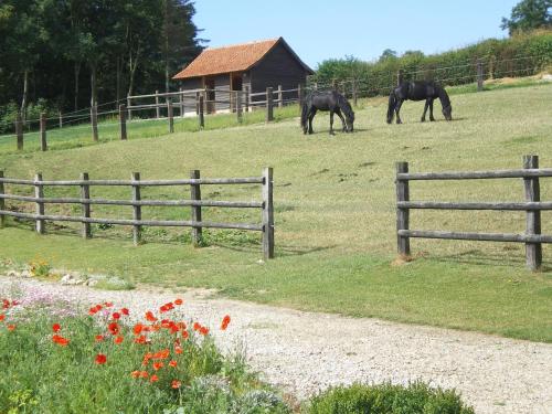 Ferme des tilleuls