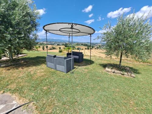 Spoleto by the pool - image 11