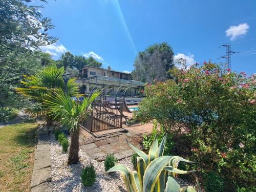 Spoleto by the pool - image 6