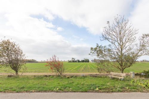Diekkieker - image 3