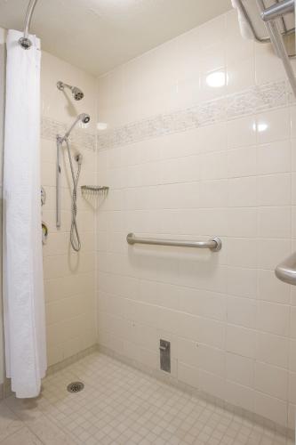 Standard King Room with Roll-In Shower - Disability Access room in Hilton New Orleans Riverside