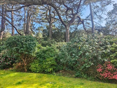Self-contained flat, off street parking close to town and beach, Bournemouth (photo 3)
