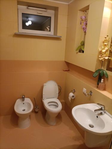 Babka Tower - Pokoje Apartamenty - image 12