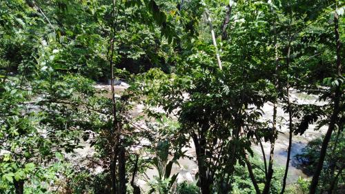 Sierra Tayrona hostel