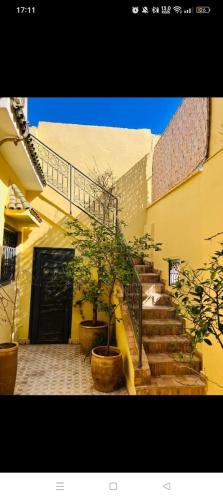 Riad taddert 5