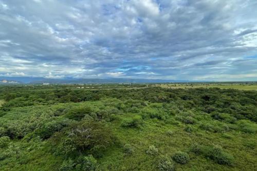 Oasis de relajación: ¡Descubre el Encanto japandi!