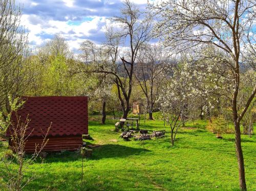 Kert, Friendship Cabin (Friendship Land) in Valea Mare Pravat