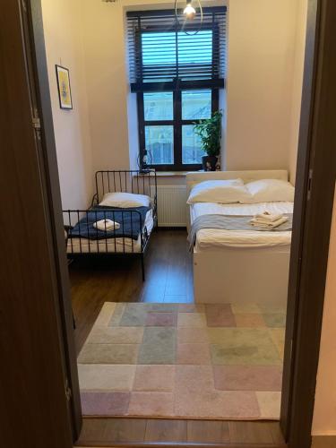 Apartament w Centrum przy Studni 102m2