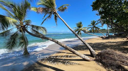 Les bungalows de la plage - Location saisonnière - La Trinité