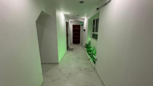 5 Soles II 5 Soles II