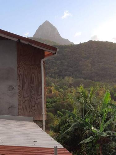 Surrounding environment, The Ultimate Escape in Soufriere